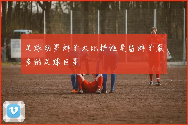 足球明星辫子大比拼谁是留辫子最多的足球巨星